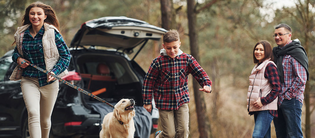 Illinois Autoowners with auto insurance coverage